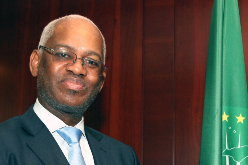 El-Ghassim Wane's Biography